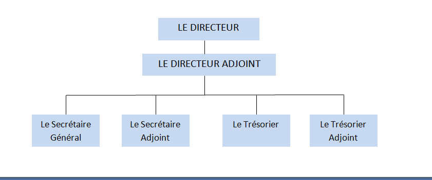 Comité Directeur