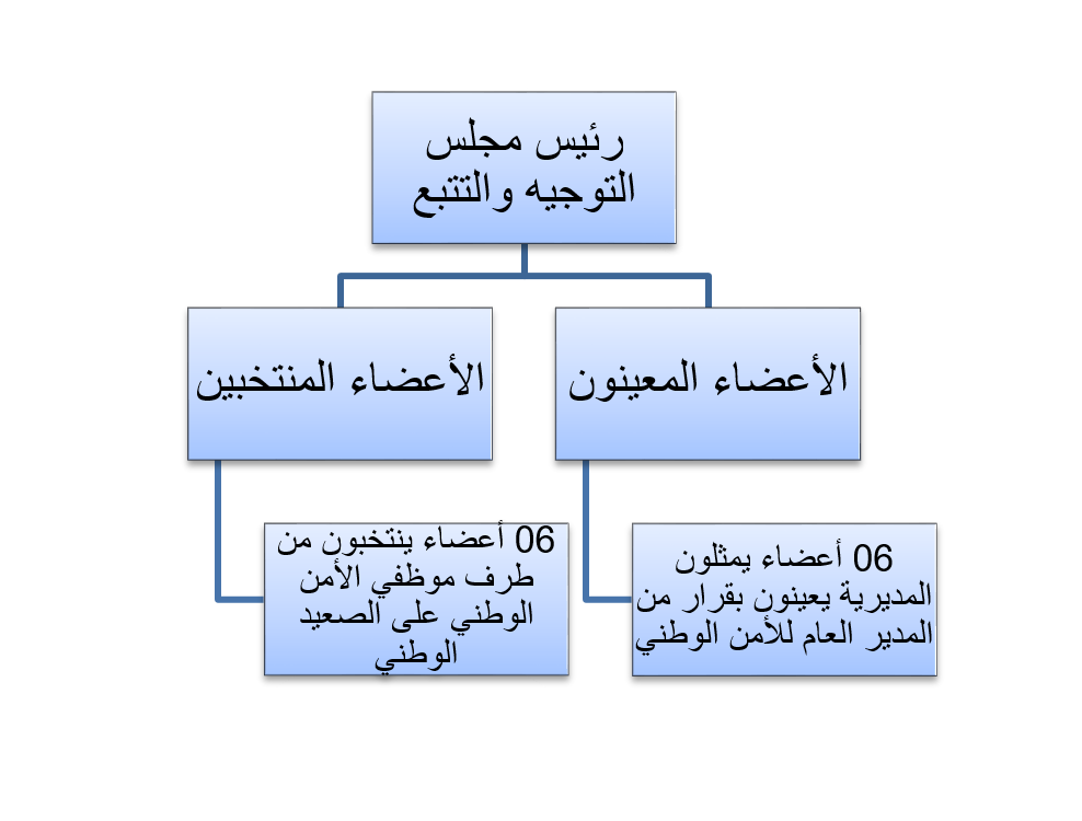 الهياكل التنظيمية